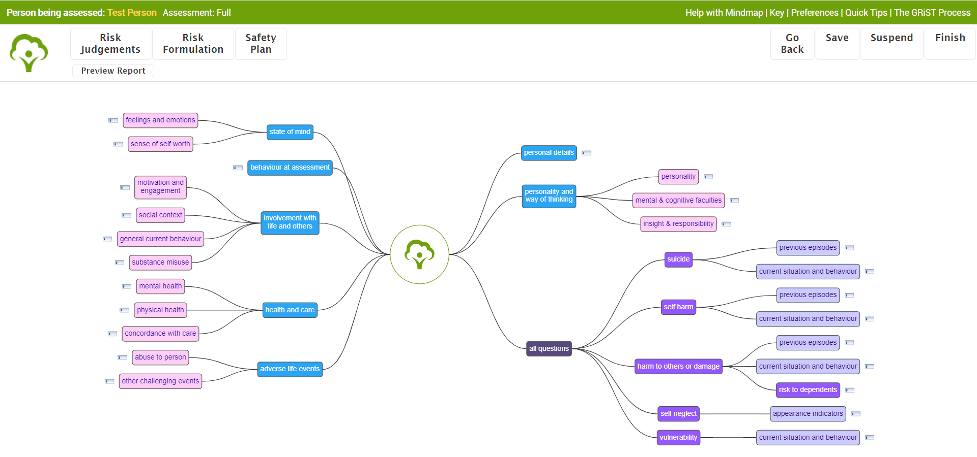 GRiST mental health decision support system